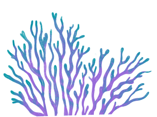 coral footer