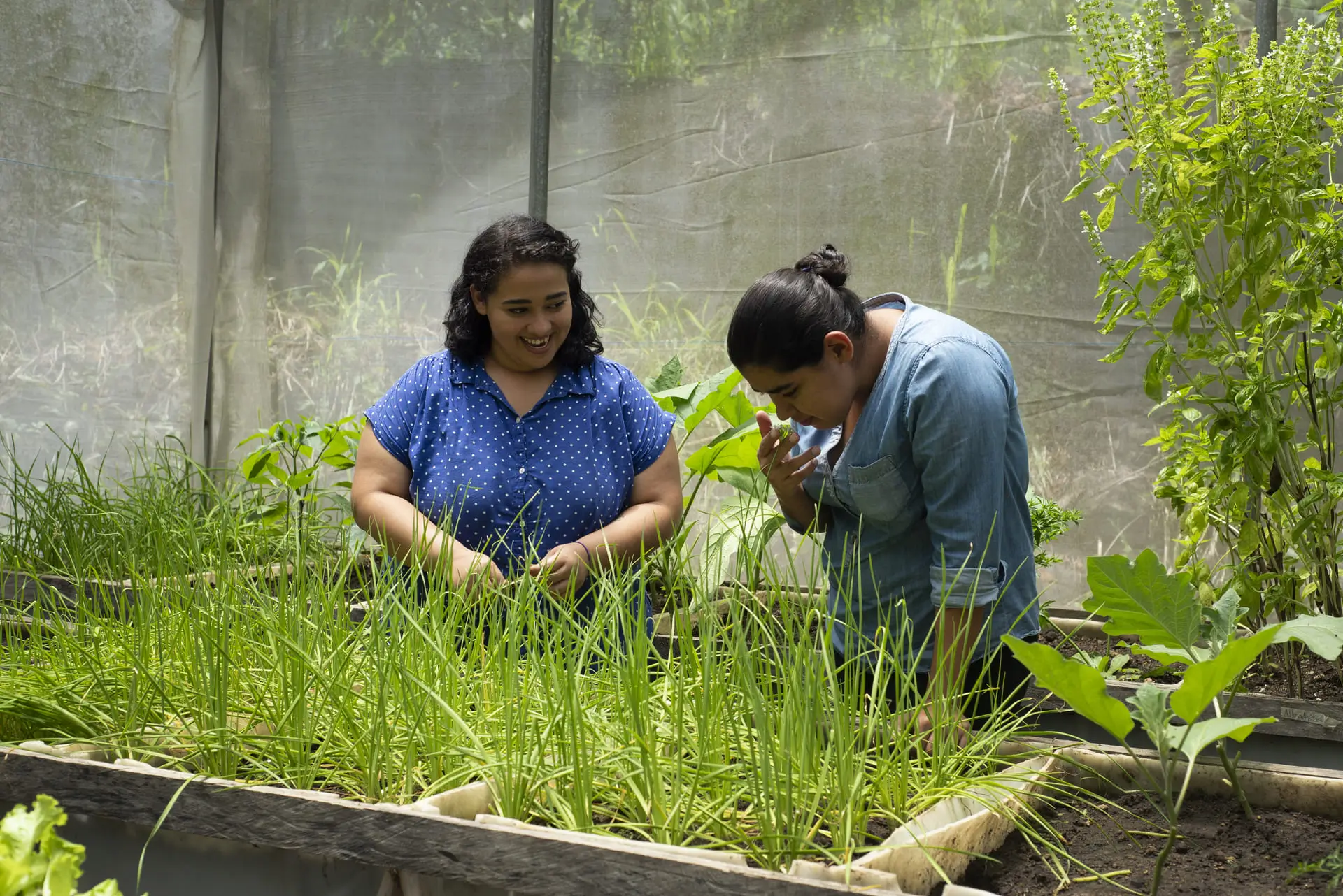 Justice and Sustainability Program